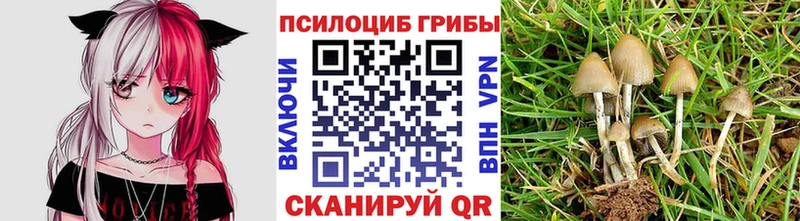 Галлюциногенные грибы мицелий Мценск